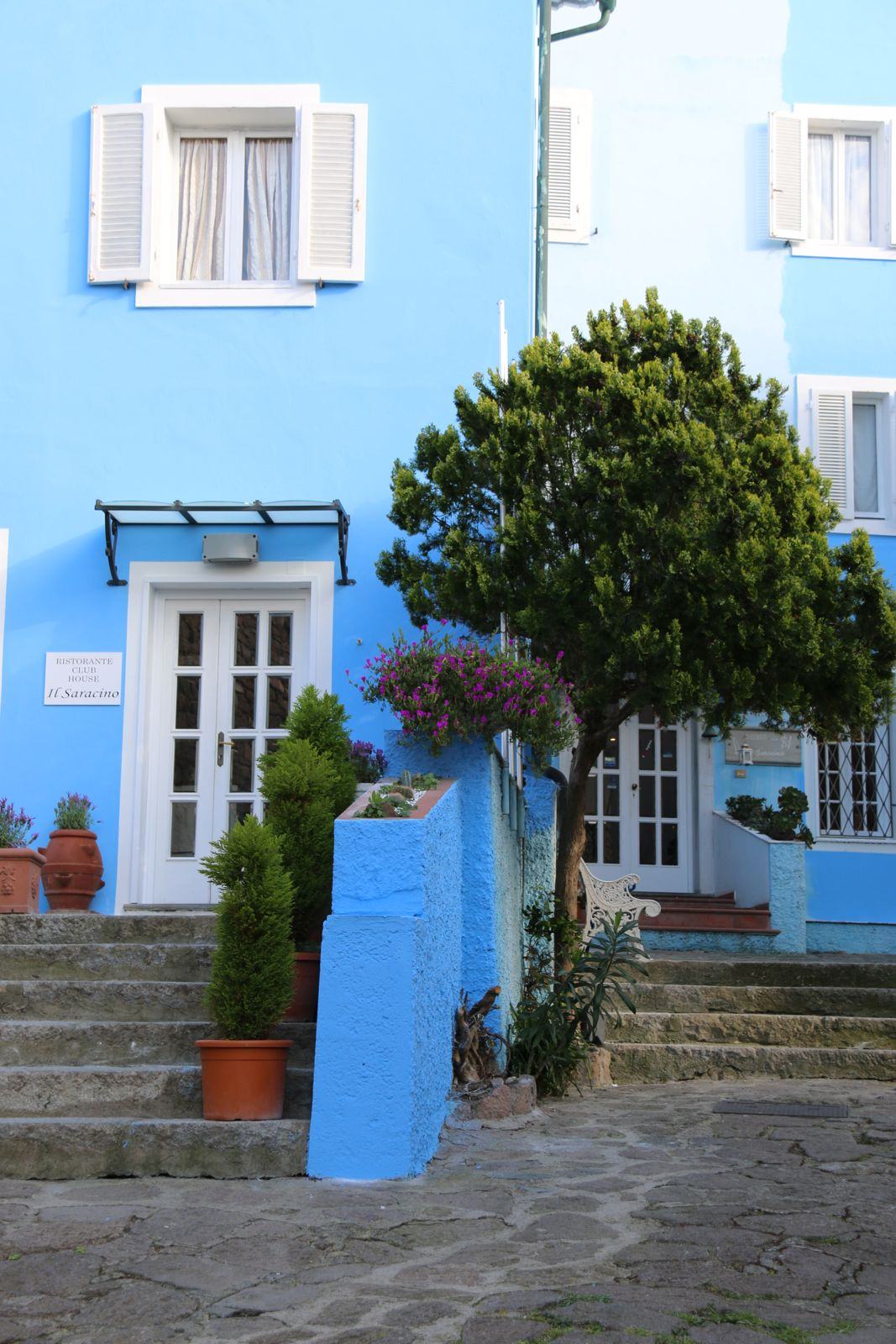 The blue house in the village